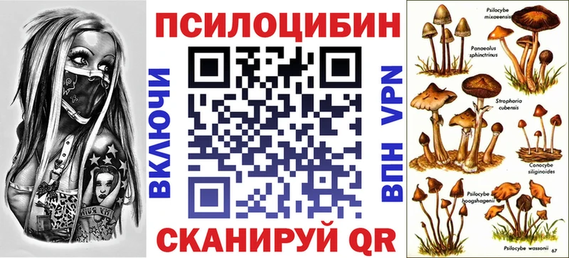 купить закладку ссылка на мегу ссылки Галлюциногенные грибы Psilocybe Белорецк